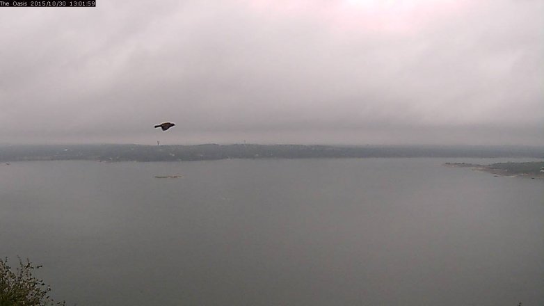 Lake Travis webcam, October 30, 2015 12:10 PM CT