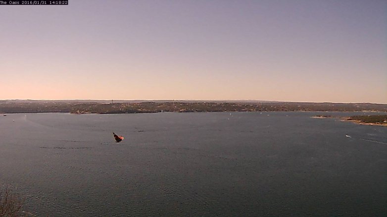 Lake Travis webcam, January 31, 2016 1:25 PM CT