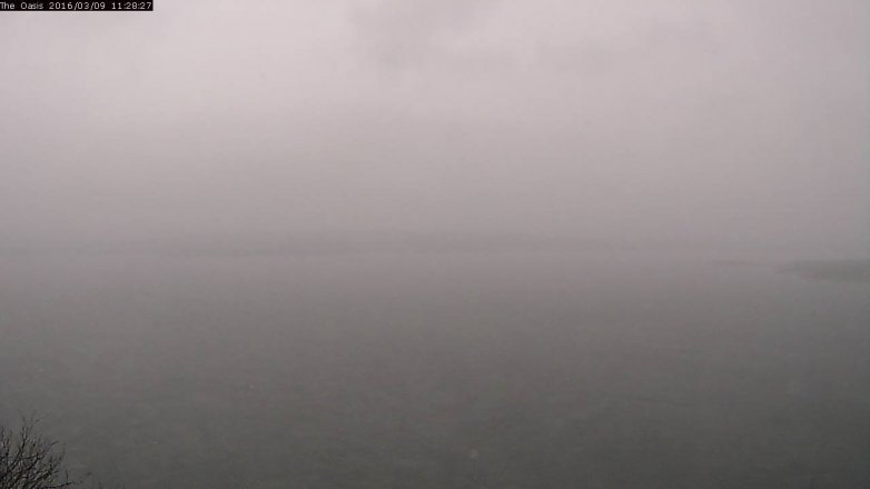 Lake Travis webcam, March 9, 2016 10:35 AM CT