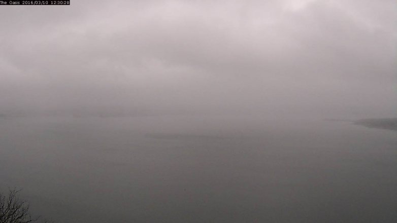 Lake Travis webcam, March 10, 2016 11:35 AM CT