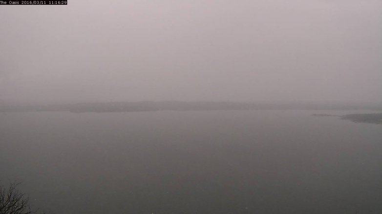 Lake Travis webcam, March 11, 2016 10:25 AM CT