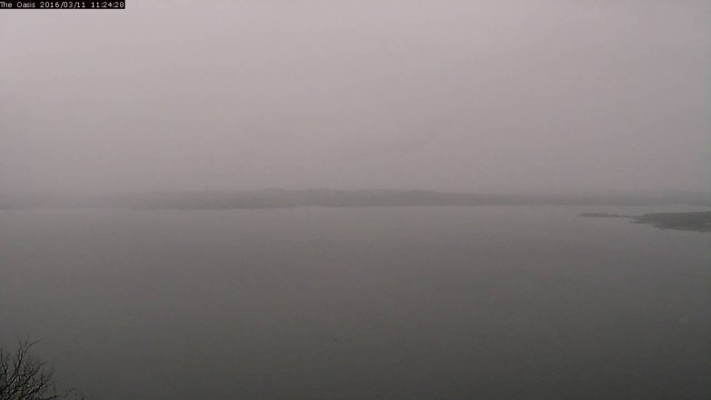 Lake Travis webcam, March 11, 2016 10:30 AM CT