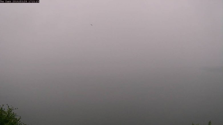 Lake Travis webcam, March 29, 2016 4:25 PM CT