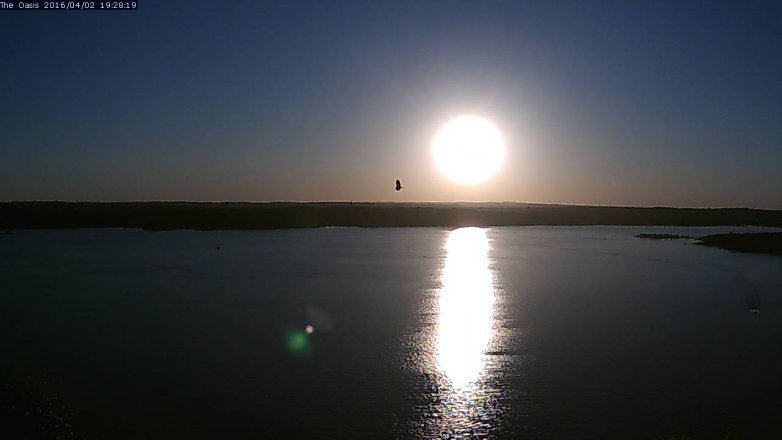 Lake Travis webcam, April 2, 2016 6:35 PM CT