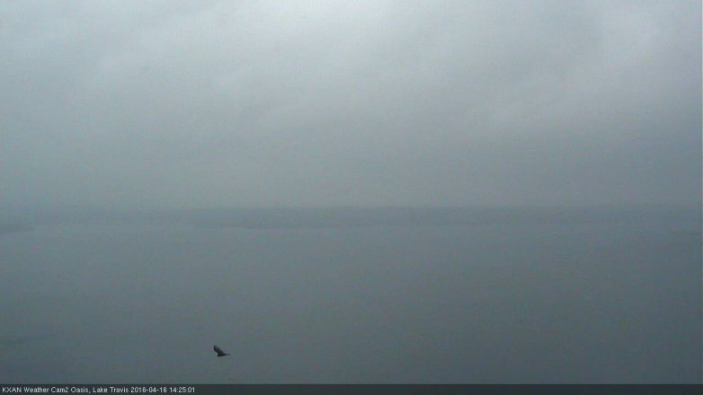 Lake Travis webcam, April 16, 2016 1:40 PM CT