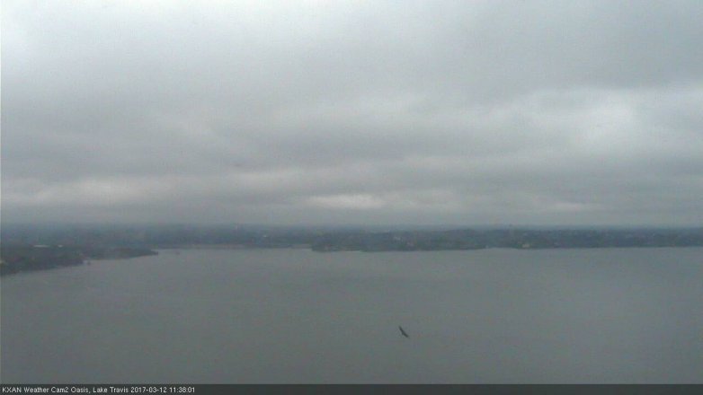 Lake Travis webcam, March 12, 2017 11:10 AM CT