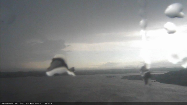 Lake Travis webcam, April 11, 2017 2:10 PM CT