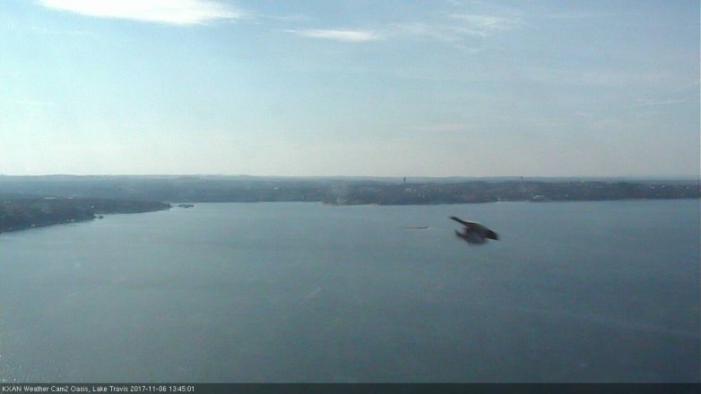 Lake Travis webcam, November 6, 2017 1:00 PM CT