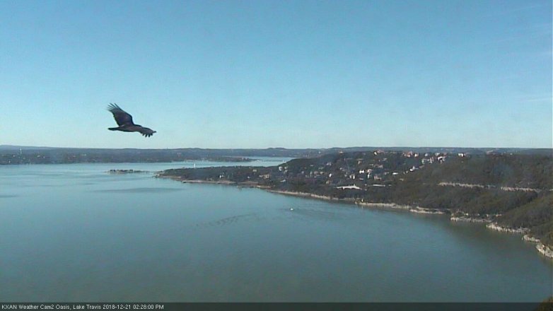 Lake Travis webcam, December 21, 2018 1:30 PM CT