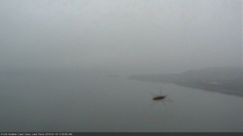 Lake Travis webcam, January 16, 2019 10:05 AM CT
