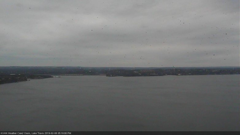 Lake Travis webcam, February 8, 2019 4:20 PM CT