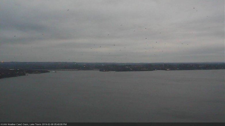 Lake Travis webcam, February 8, 2019 4:50 PM CT