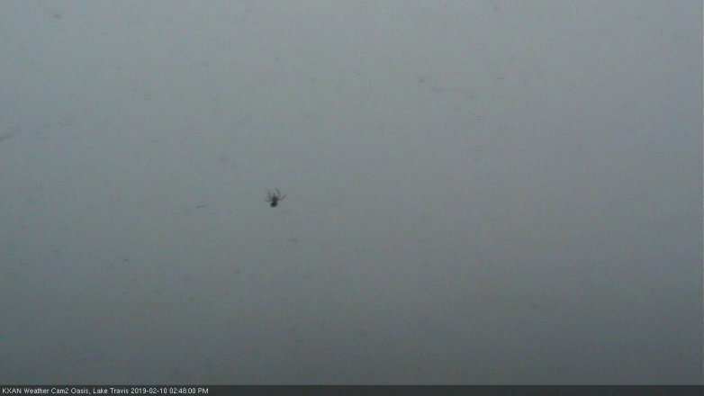 Lake Travis webcam, February 10, 2019 1:50 PM CT