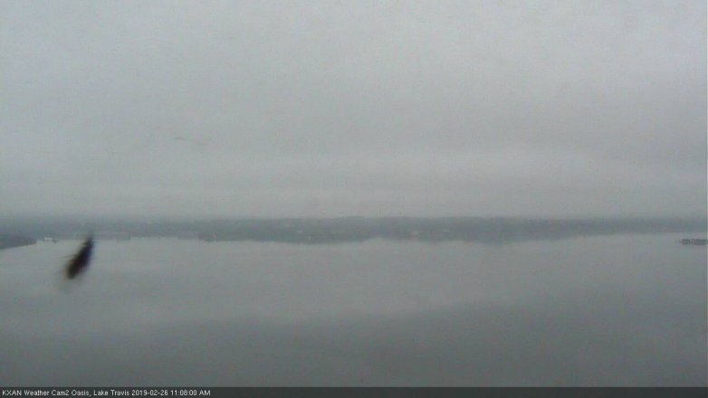 Lake Travis webcam, February 26, 2019 10:10 AM CT