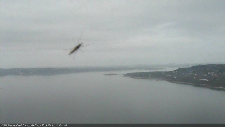 Lake Travis webcam, March 10, 2019 9:25 AM CT
