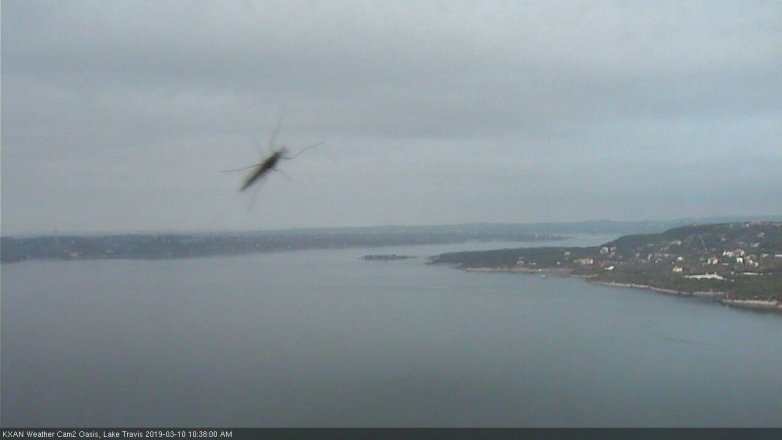 Lake Travis webcam, March 10, 2019 9:40 AM CT