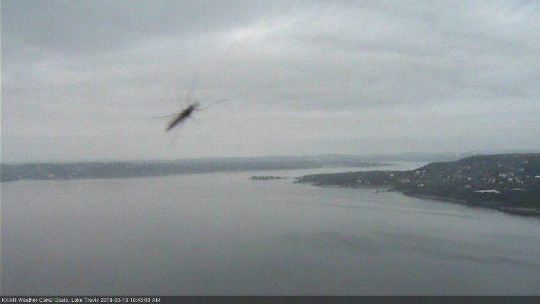 Lake Travis webcam, March 10, 2019 9:45 AM CT