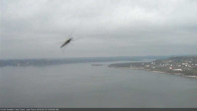 Lake Travis webcam, March 10, 2019 10:00 AM CT