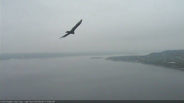 Lake Travis webcam, April 5, 2019 10:35 AM CT
