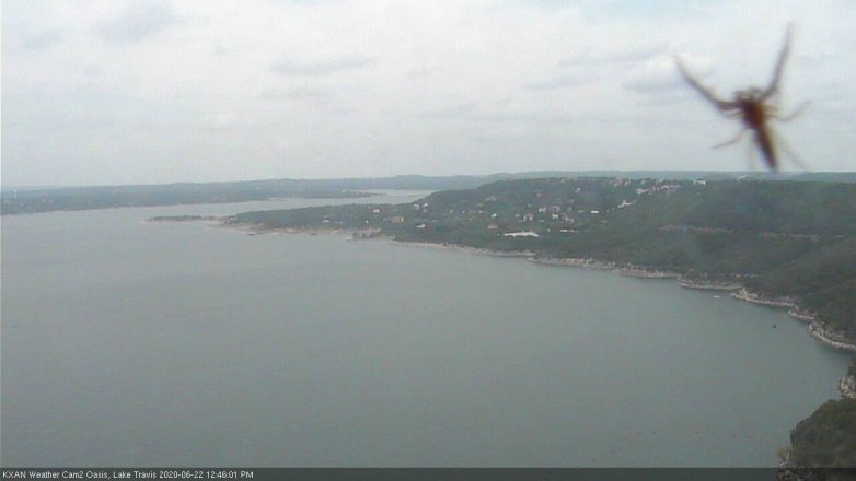 Lake Travis webcam, June 22, 2020 12:45 PM CT
