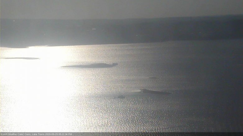 Lake Travis webcam, September 29, 2020 5:25 PM CT