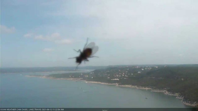 Lake Travis webcam, June 12, 2021 11:25 AM CT