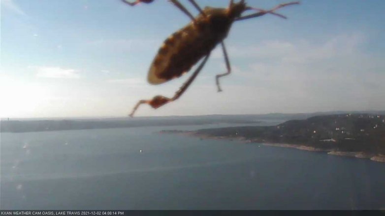 Lake Travis webcam, December 2, 2021 4:00 PM CT