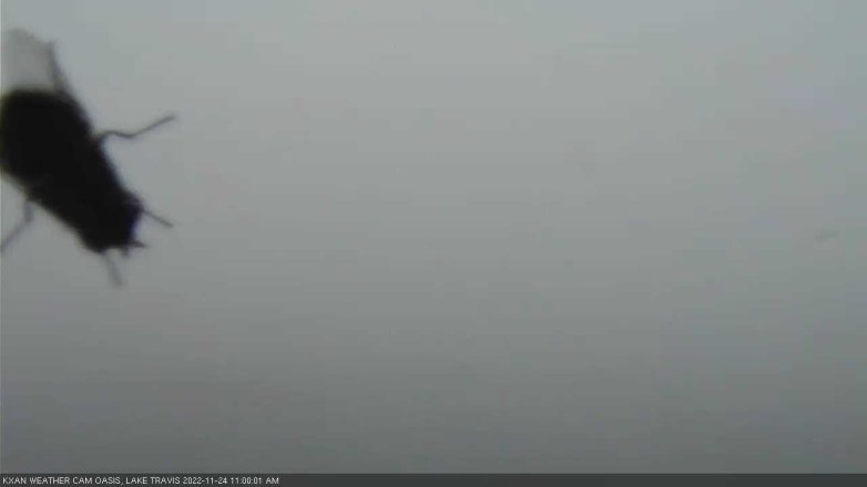 Lake Travis webcam, November 24, 2022 11:00 AM CT